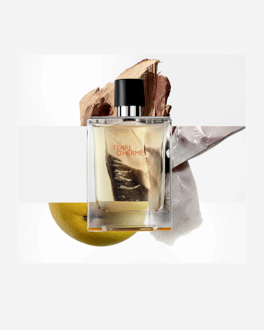 Hermès Terre d'Hermes Eau De Toilette (200ml)
