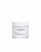 Caudalíe Vinoperfect Dark Spot Niacinamide Moisturizer